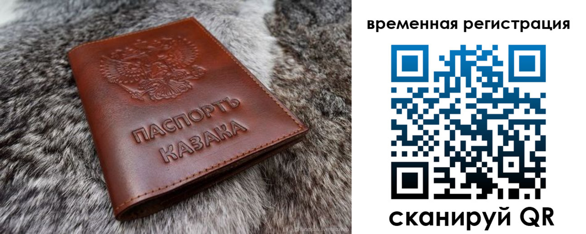 прописка 2025 в Сафоново